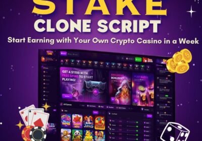 stake-clone-img-1